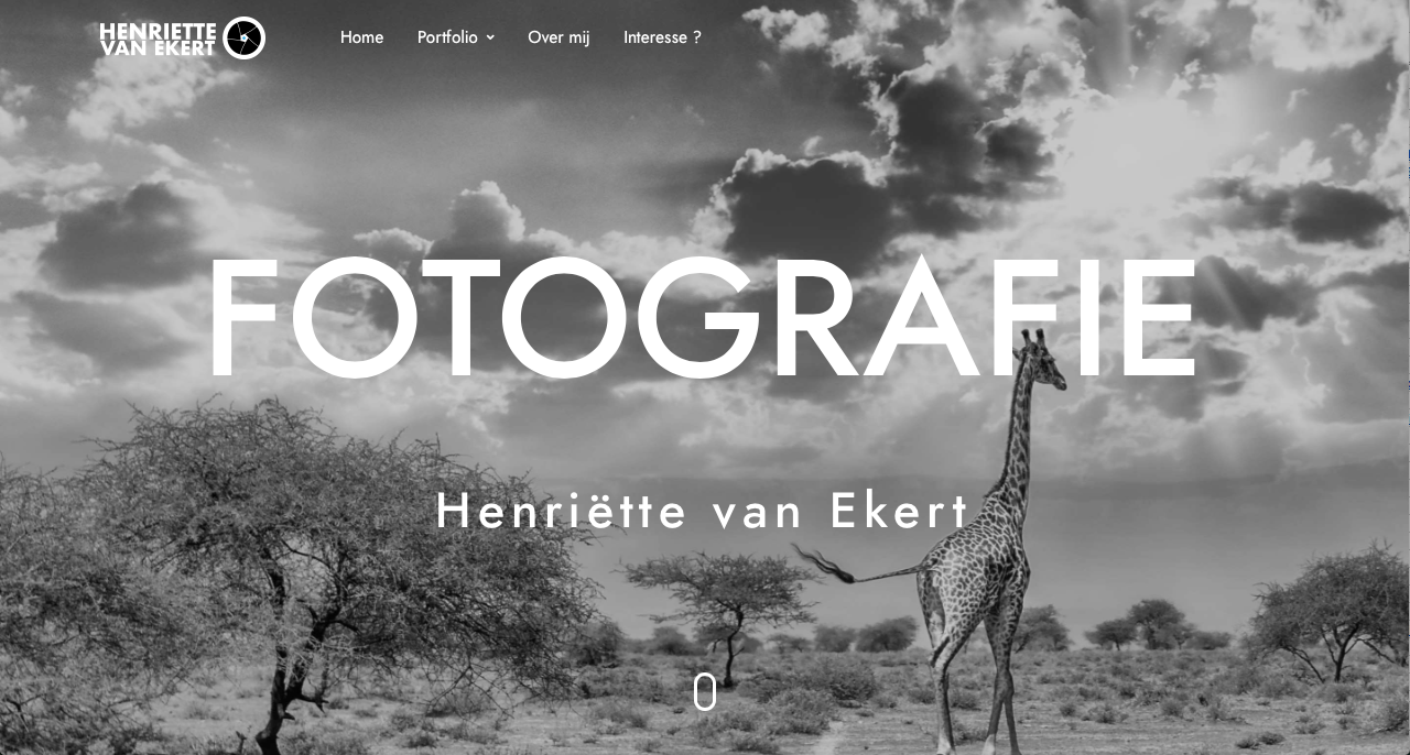 Website Henriette van Ekert
